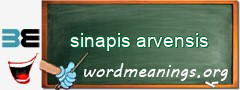 WordMeaning blackboard for sinapis arvensis